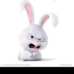 Meet your Posher, Yolanda